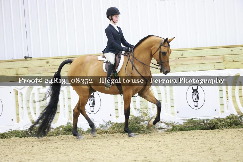 Proof 24R13_08352