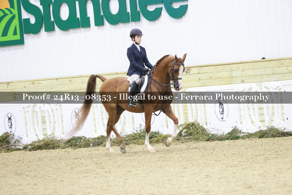 Proof 24R13_08353