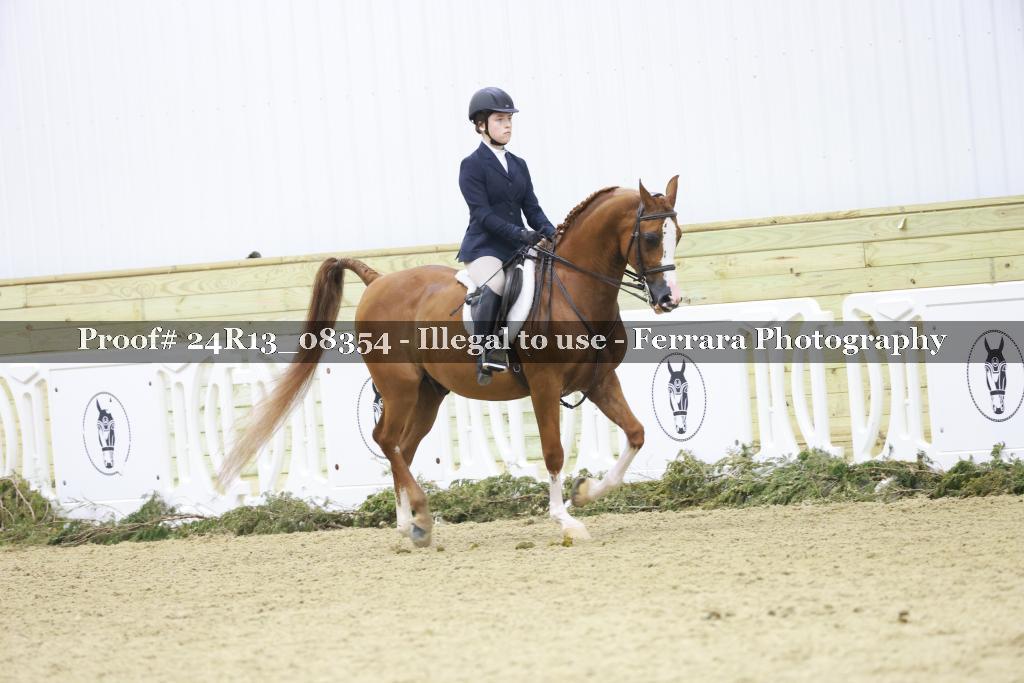 Proof 24R13_08354