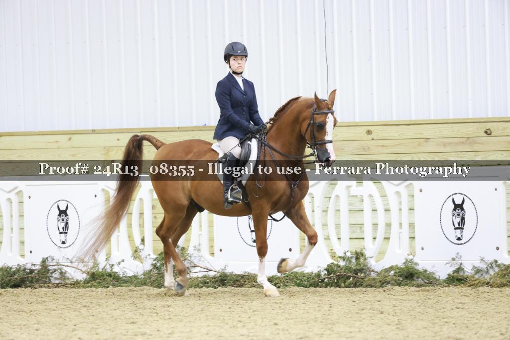 Proof 24R13_08355