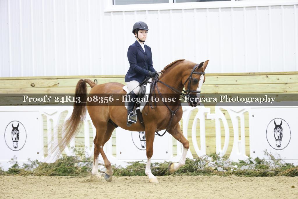 Proof 24R13_08356