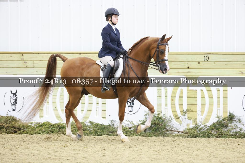 Proof 24R13_08357