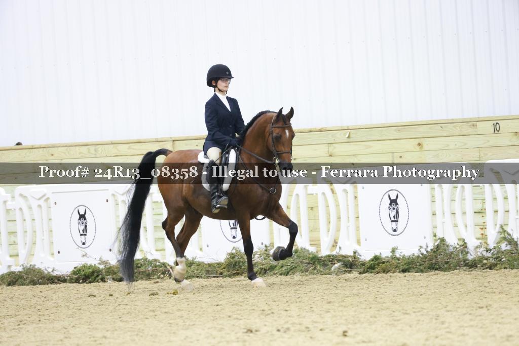 Proof 24R13_08358