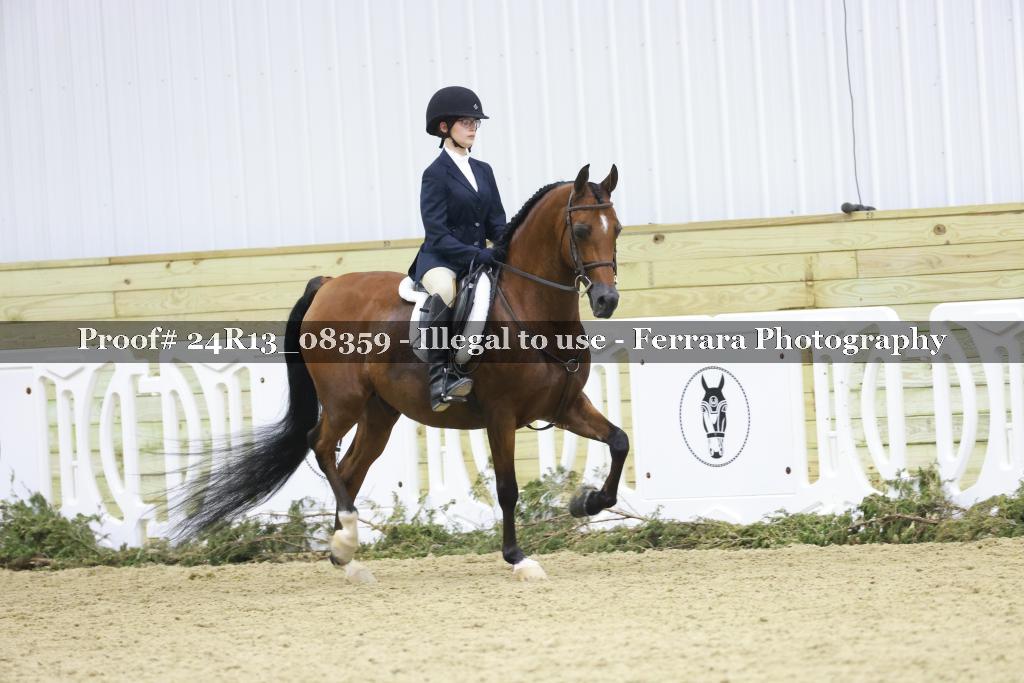 Proof 24R13_08359
