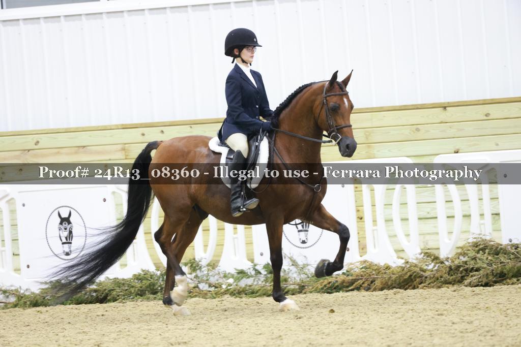 Proof 24R13_08360