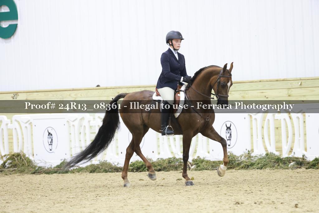 Proof 24R13_08361