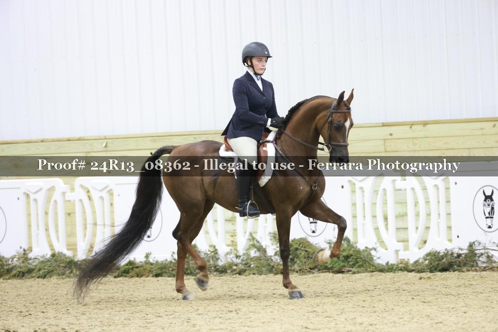 Proof 24R13_08362