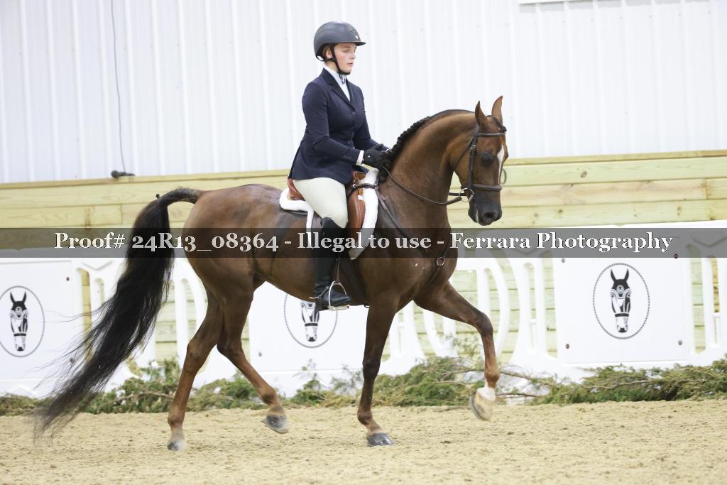 Proof 24R13_08364