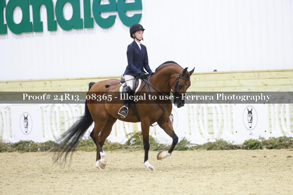Proof 24R13_08365