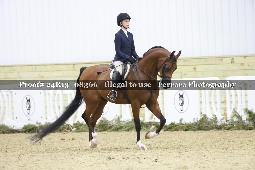 Proof 24R13_08366