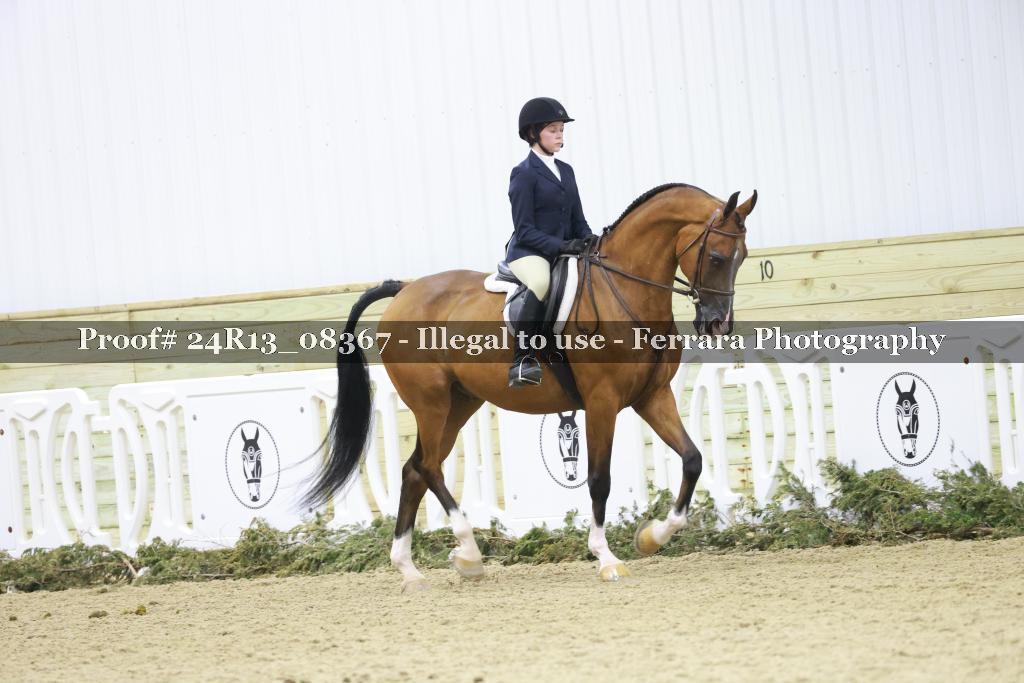 Proof 24R13_08367