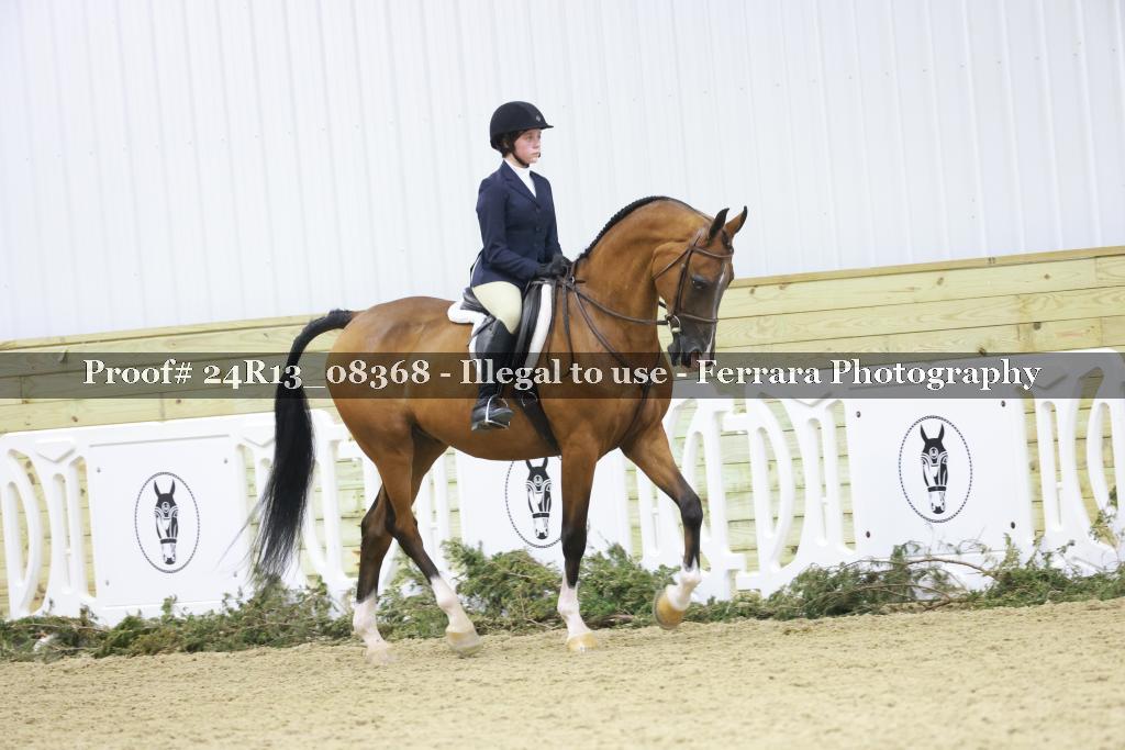 Proof 24R13_08368
