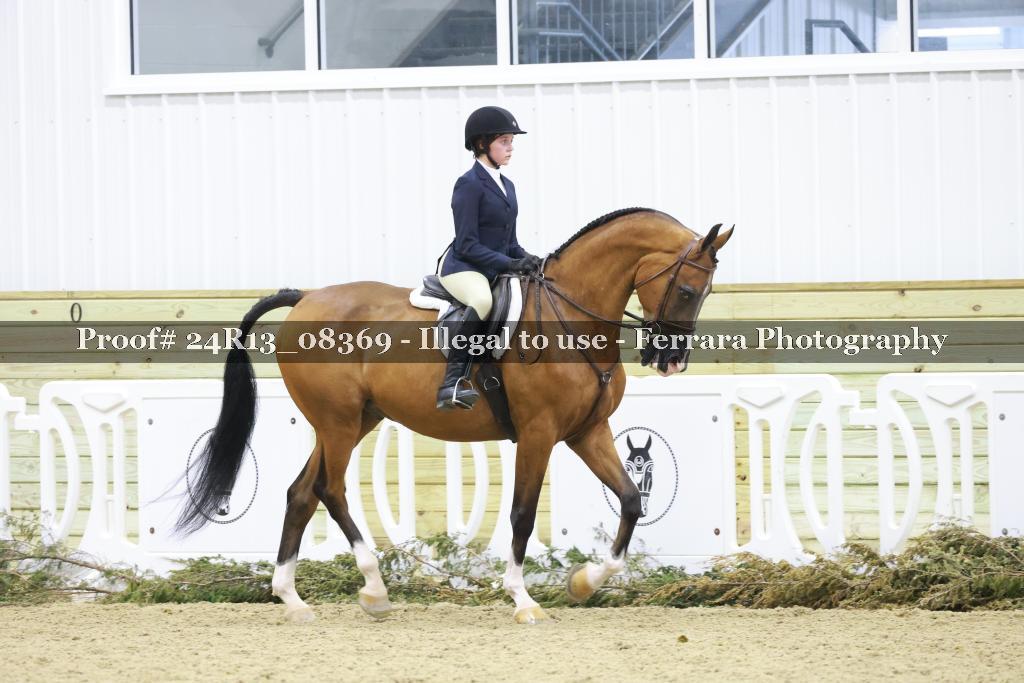 Proof 24R13_08369