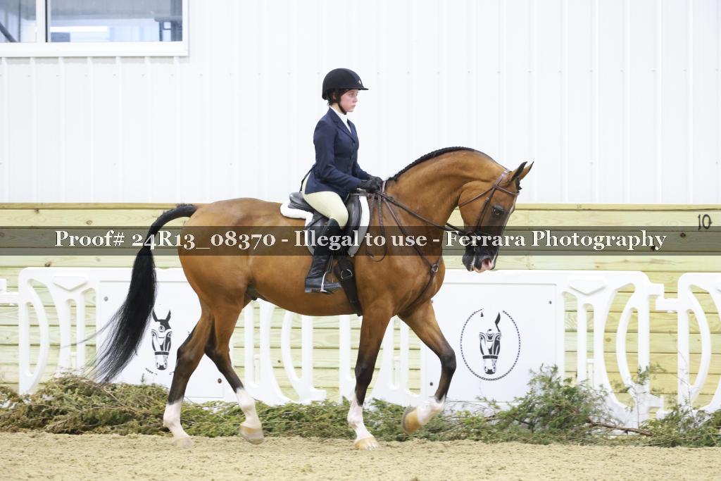 Proof 24R13_08370
