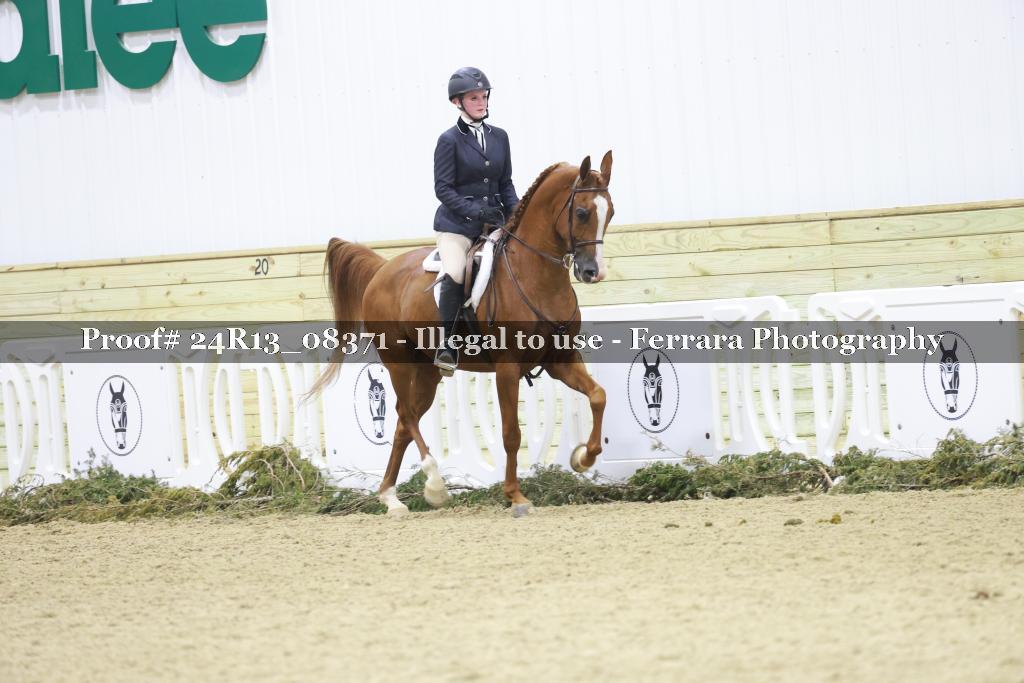 Proof 24R13_08371
