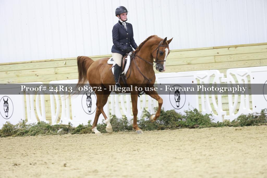 Proof 24R13_08372
