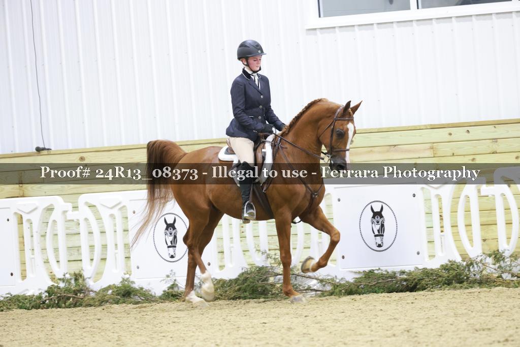 Proof 24R13_08373