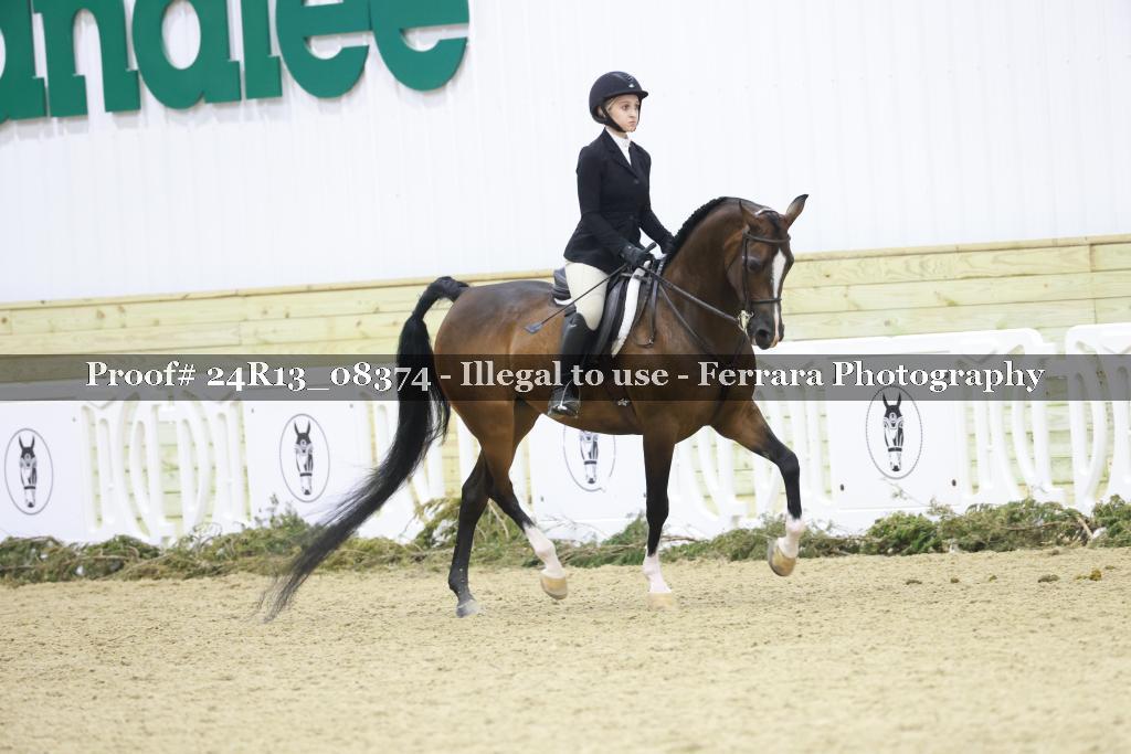 Proof 24R13_08374