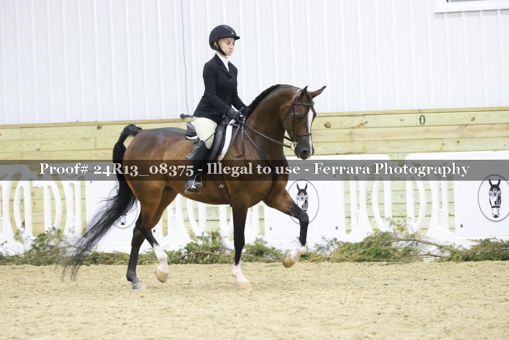 Proof 24R13_08375