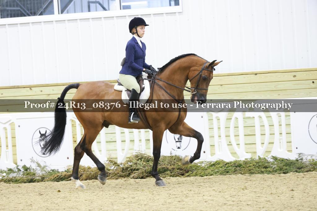 Proof 24R13_08376