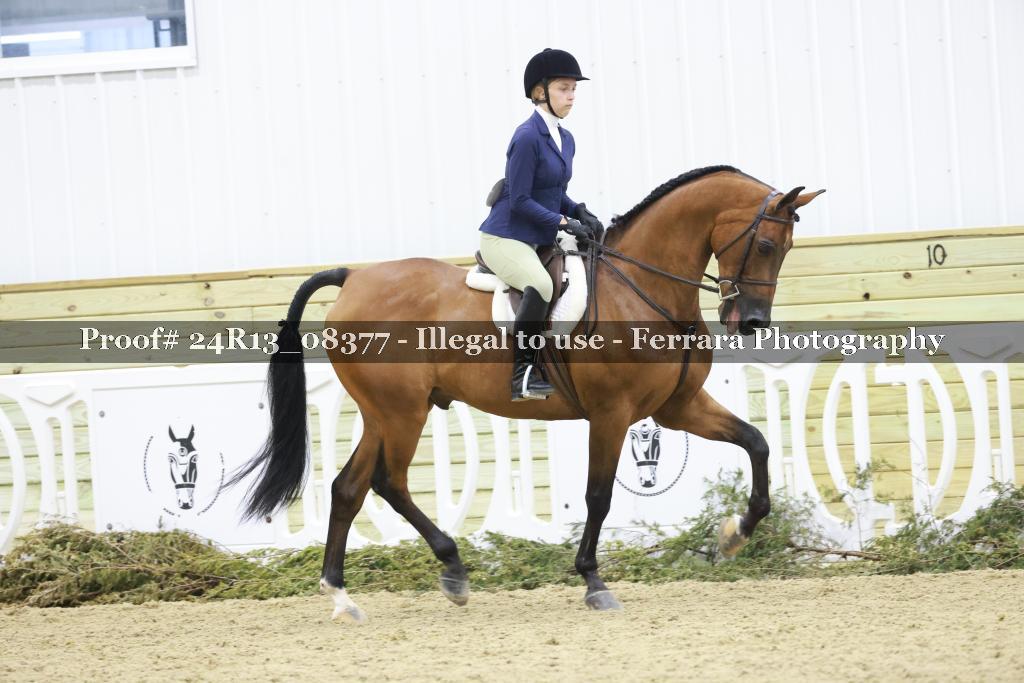 Proof 24R13_08377