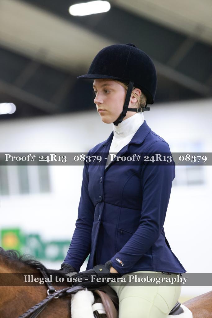 Proof 24R13_08379