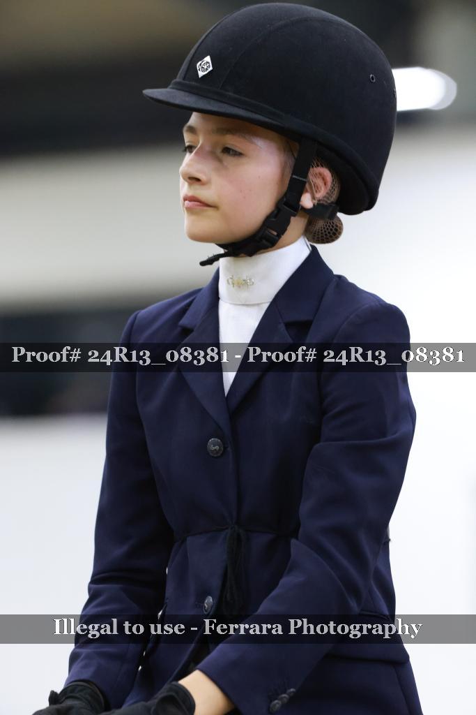 Proof 24R13_08381