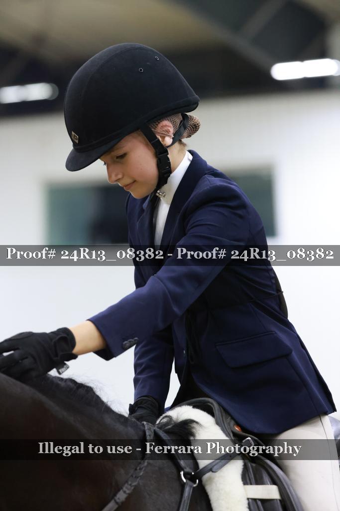 Proof 24R13_08382