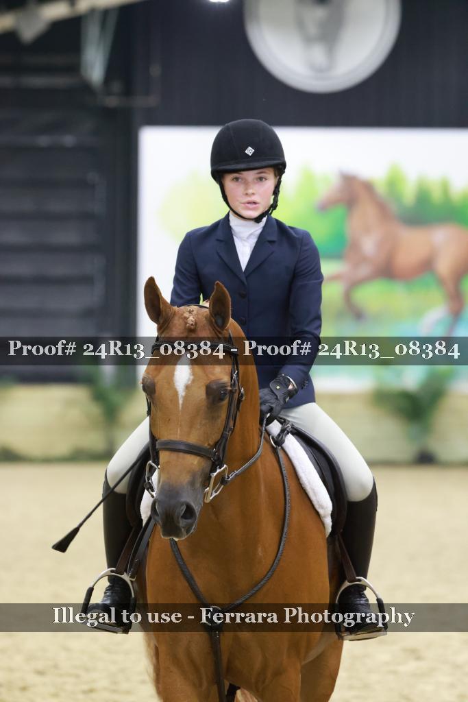 Proof 24R13_08384
