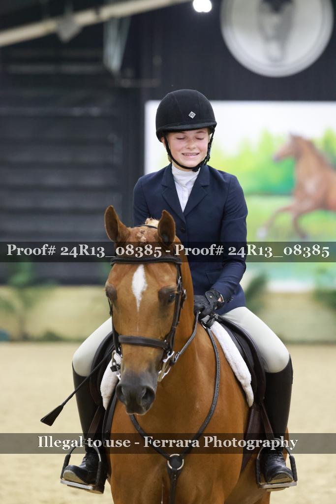 Proof 24R13_08385