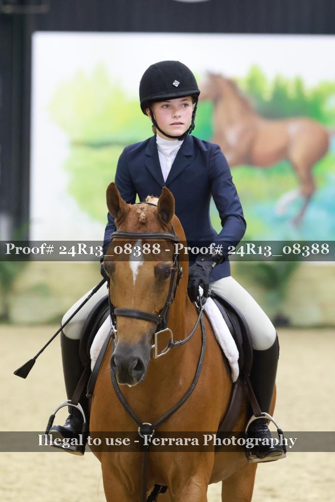Proof 24R13_08388