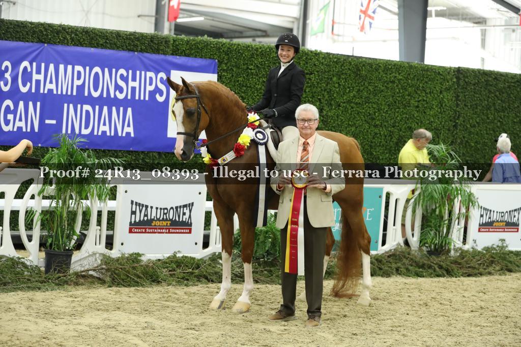 Proof 24R13_08393
