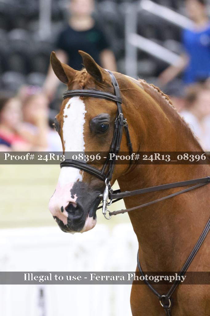Proof 24R13_08396