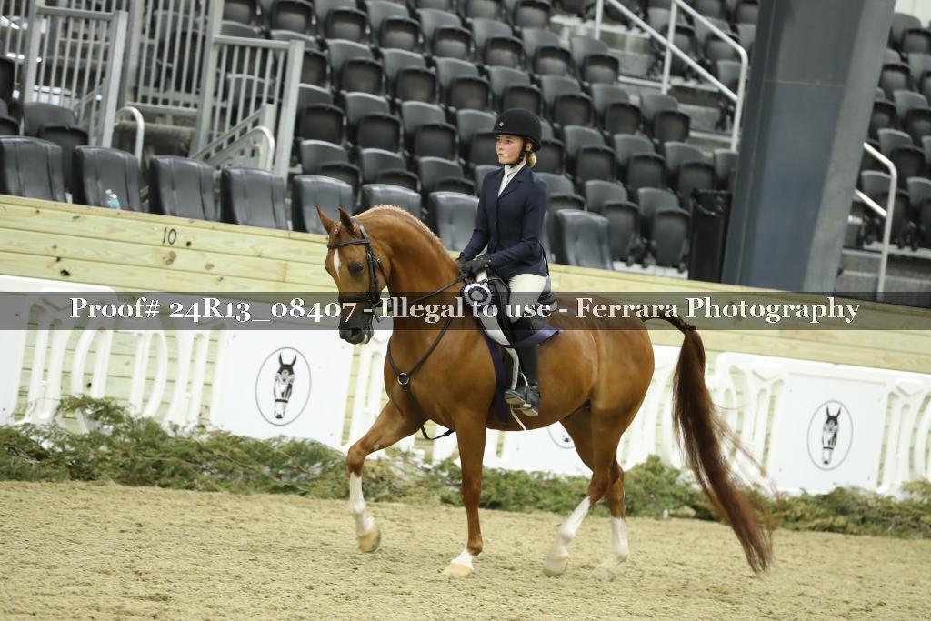 Proof 24R13_08407