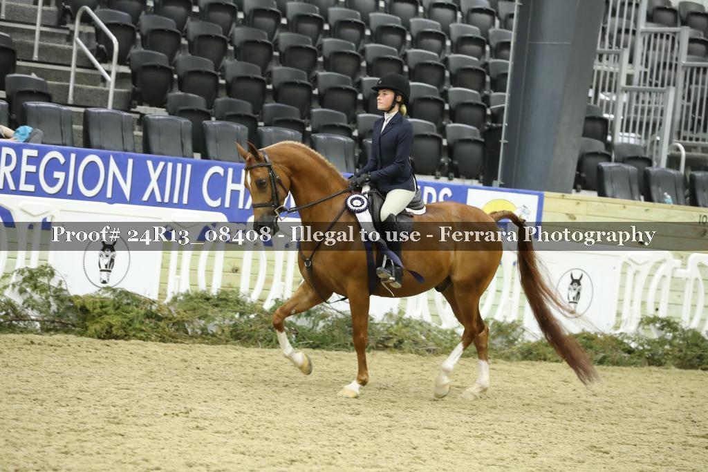 Proof 24R13_08408