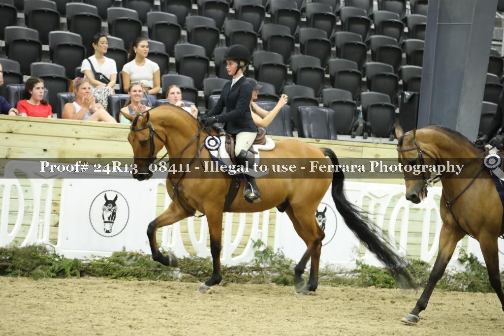Proof 24R13_08411