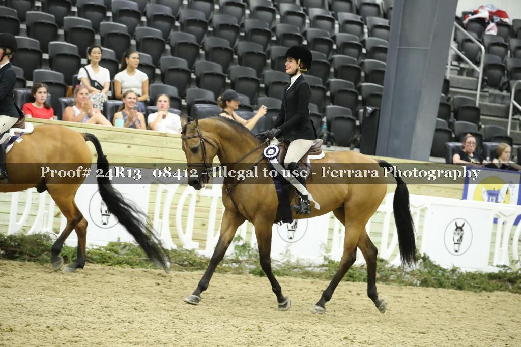 Proof 24R13_08412