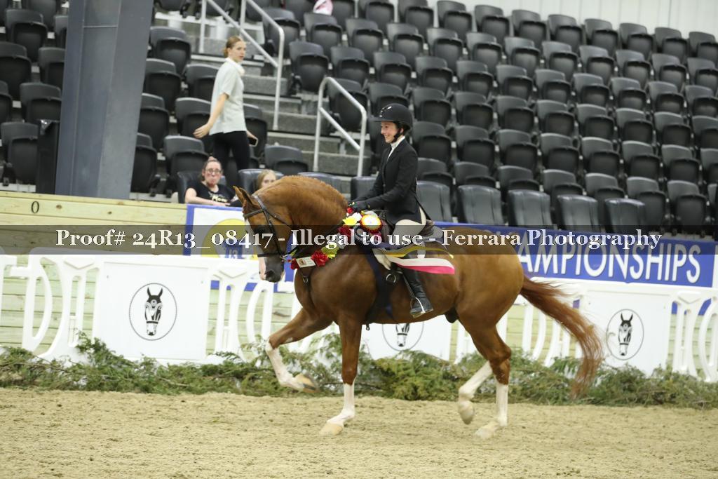 Proof 24R13_08417