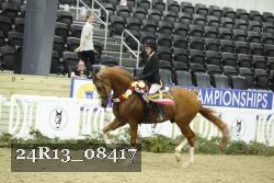 24R13_08417 proof