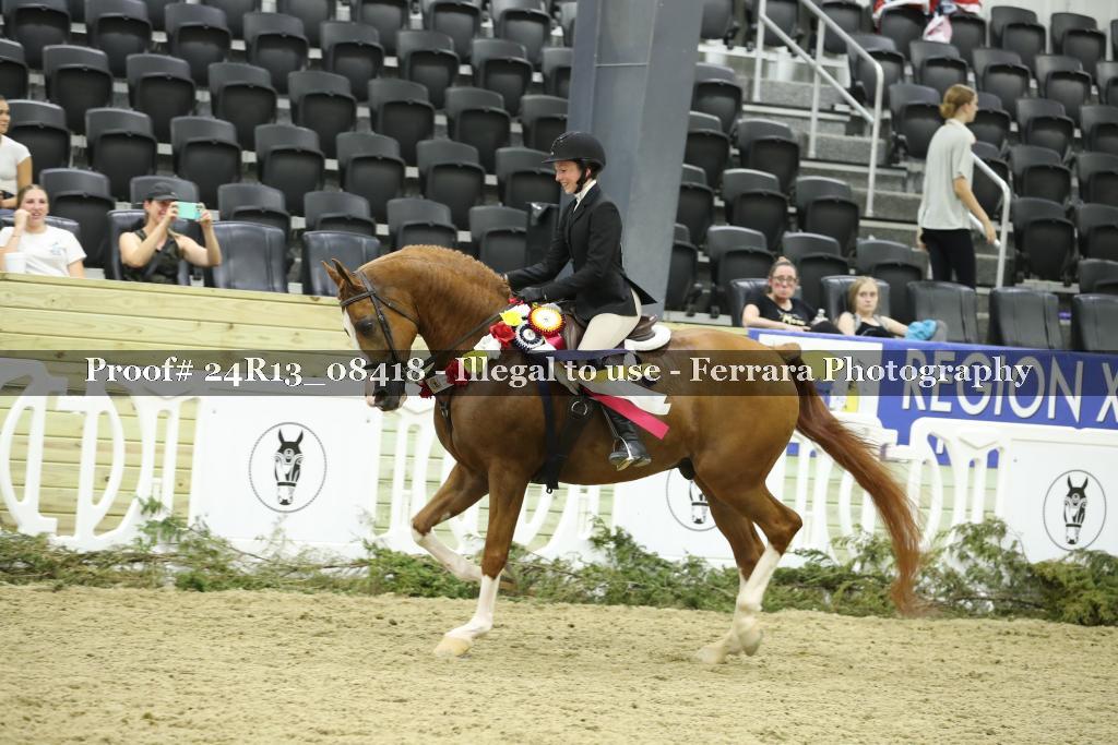 Proof 24R13_08418