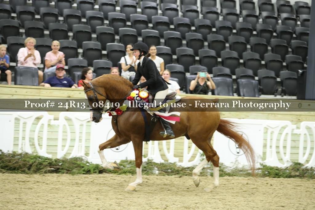 Proof 24R13_08419