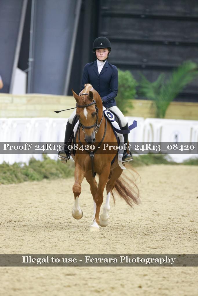 Proof 24R13_08420