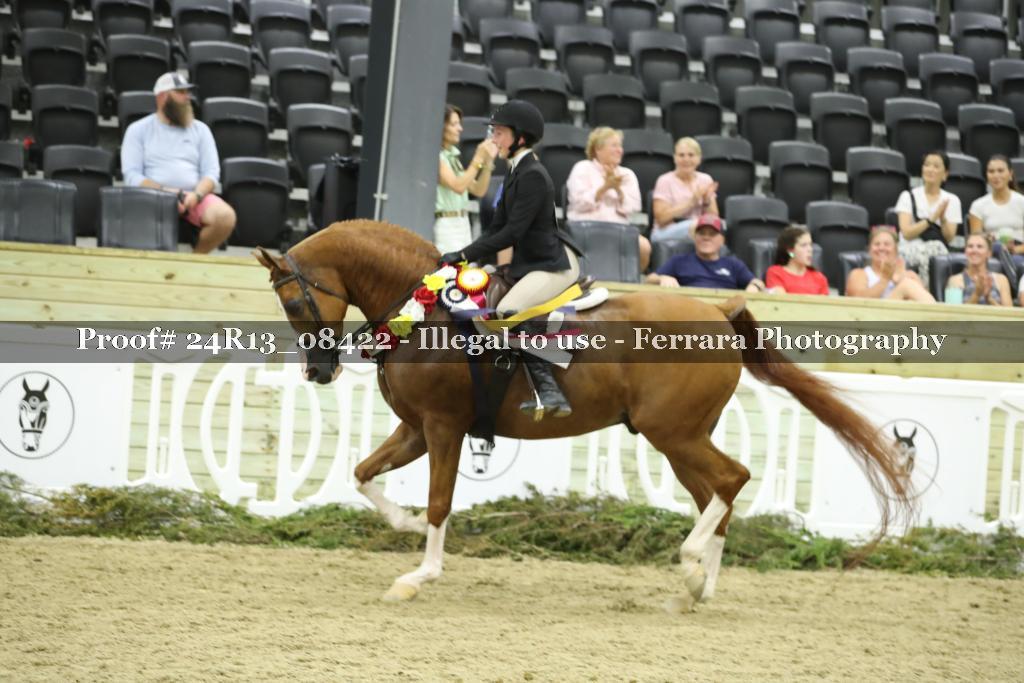 Proof 24R13_08422