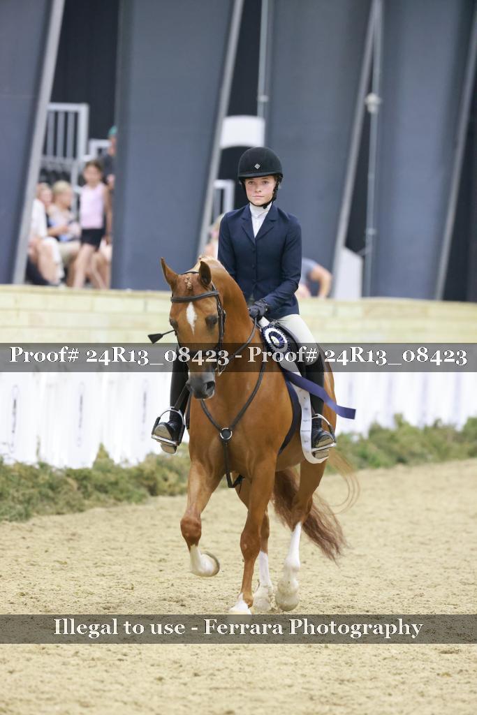 Proof 24R13_08423