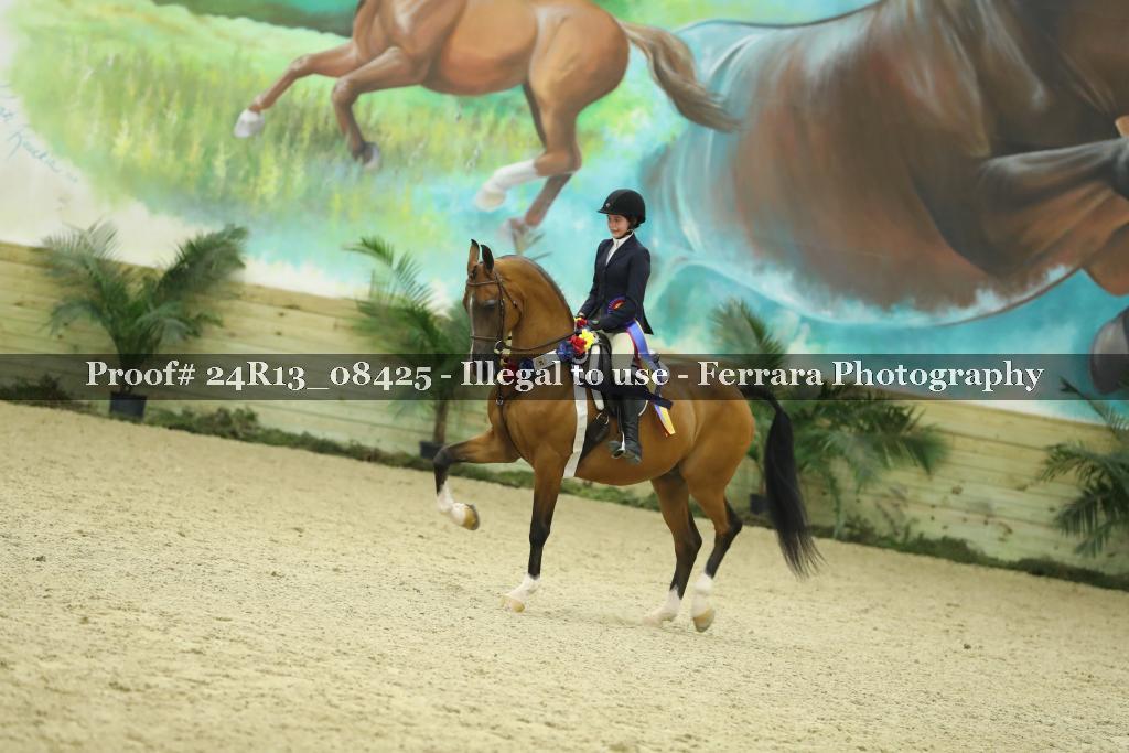 Proof 24R13_08425