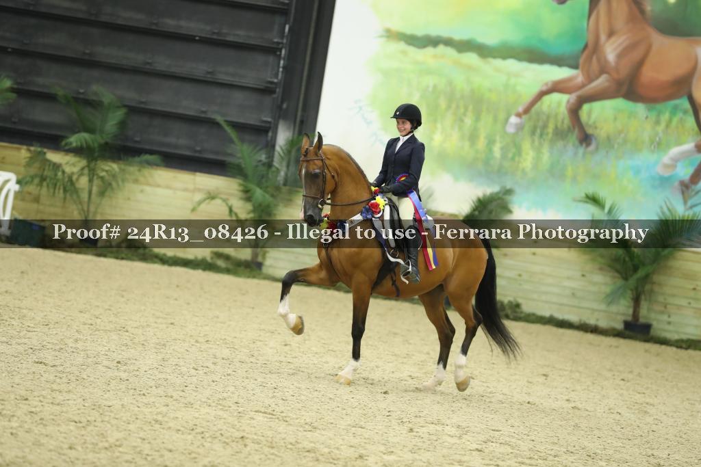 Proof 24R13_08426