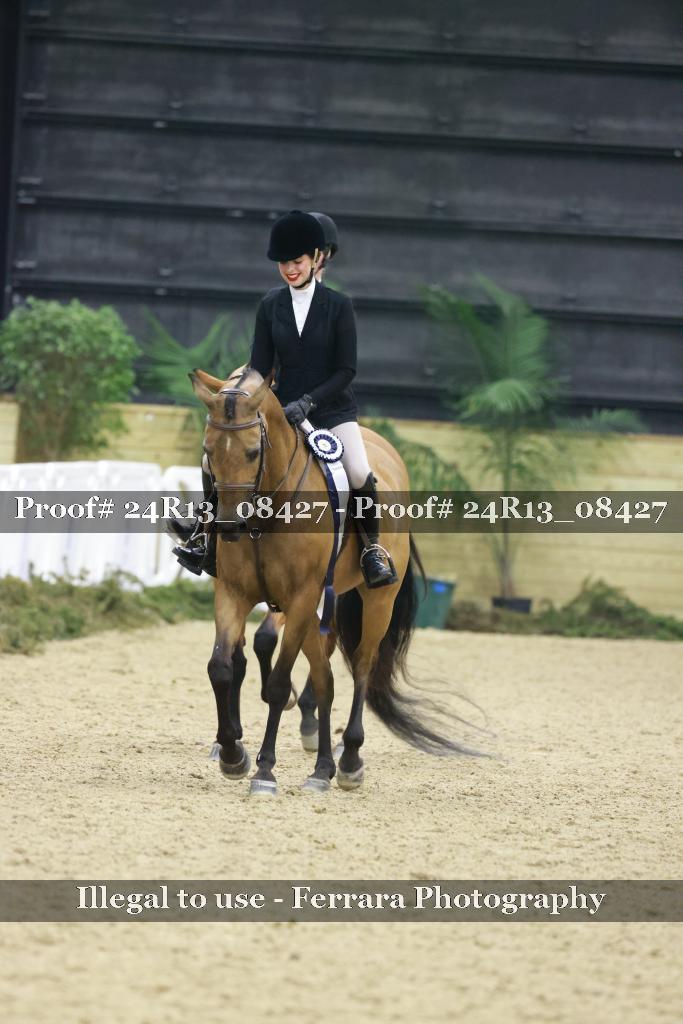 Proof 24R13_08427