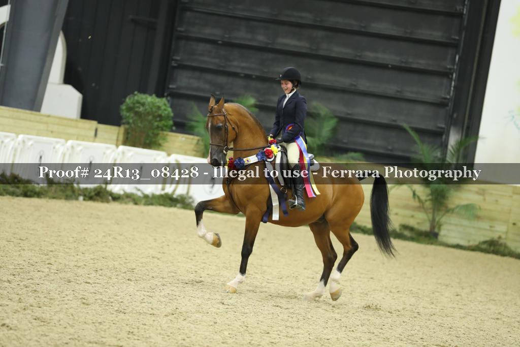 Proof 24R13_08428