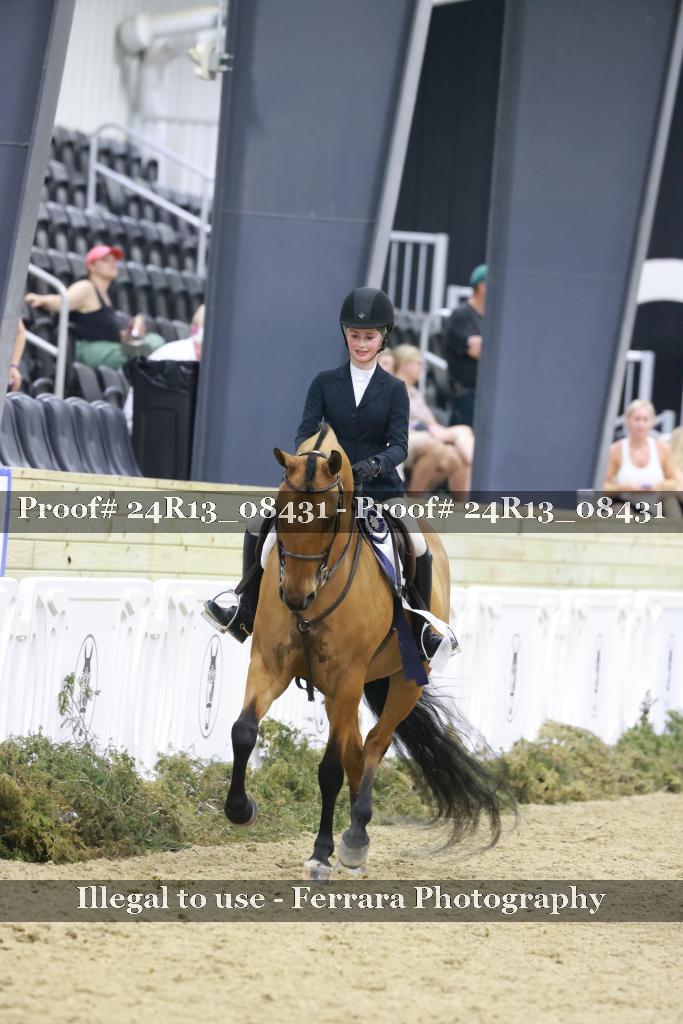 Proof 24R13_08431