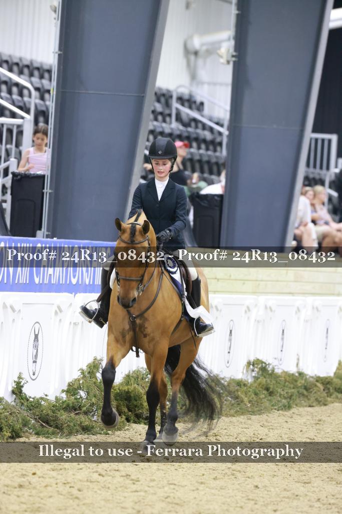 Proof 24R13_08432